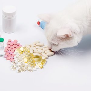 Pets Medicines