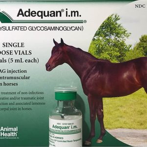 Buy Adequan® Equine for Horses