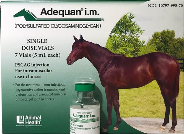 Buy Adequan® Equine for Horses